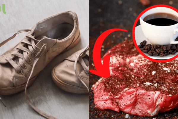 Why You Should Never Throw Away Coffee Grounds