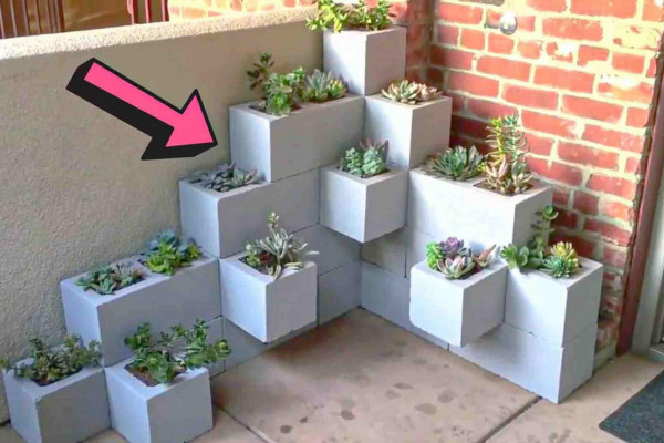 Creative way to use cinder blocks as a planter