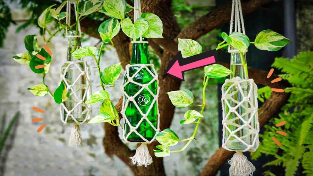 DIY knotted bottles. A hanging planters idea for your garden.