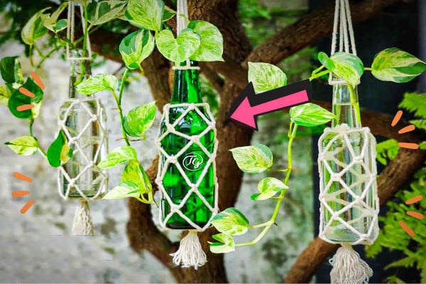 DIY knotted bottles. A hanging planters idea for your garden.
