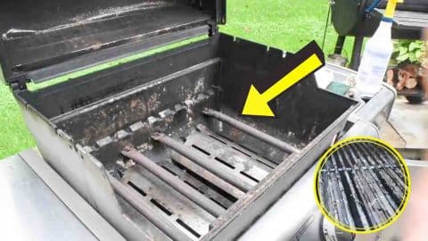 How To Deep Clean A Gas Grill | DIY Joy Projects and Crafts Ideas