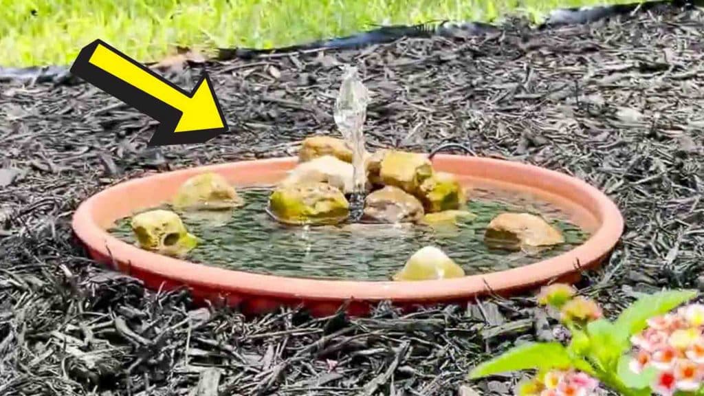 Easy DIY solar-powered garden fountain tutorial