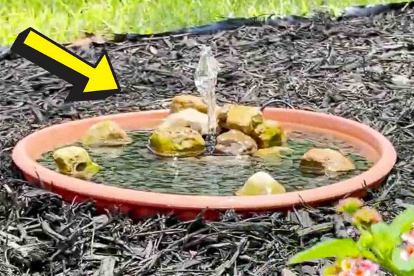 Easy DIY solar-powered garden fountain tutorial