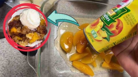 Easy Peach Cobbler Dump Cake Recipe | DIY Joy Projects and Crafts Ideas