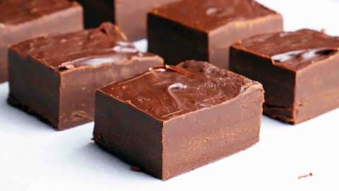 2-Ingredient Chocolate Fudge Recipe | DIY Joy Projects and Crafts Ideas