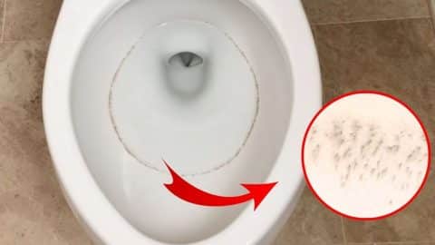 3 Effective Solutions For Recurring Toilet Ring | DIY Joy Projects and Crafts Ideas