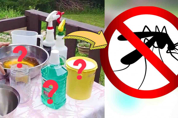 Super effective DIY mosquito repellent