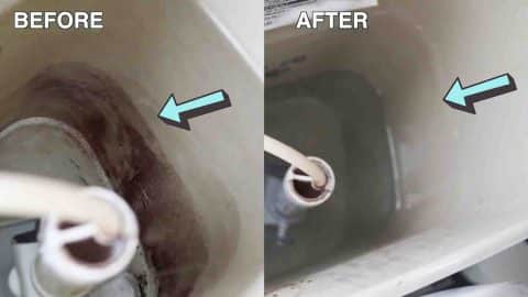 3 Toilet Cleaning Hacks That Actually Work | DIY Joy Projects and Crafts Ideas