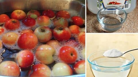 4 Ways to Remove Pesticides From Fruits and Vegetables | DIY Joy Projects and Crafts Ideas