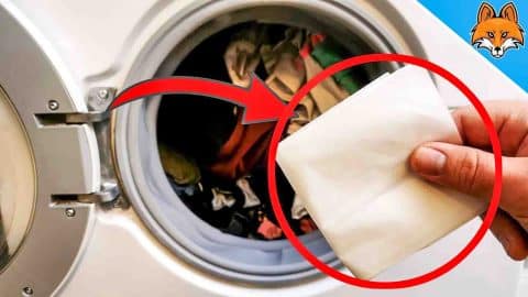 6 Genius Laundry Tricks Everyone Should Know | DIY Joy Projects and Crafts Ideas