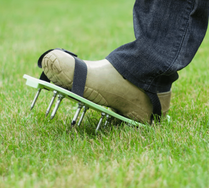 9 Secrets to Keep Your Lawn Green and Healthy