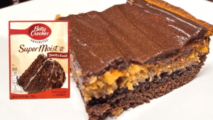 Chocolate Peanut Butter Cake Mix Recipe