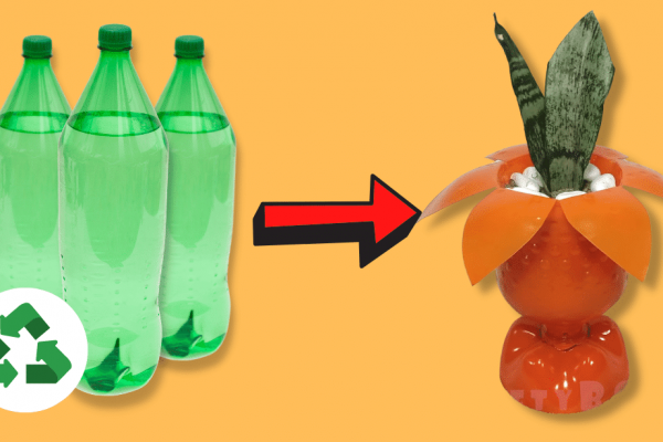 DIY Flower Pot Made From Plastic Bottles