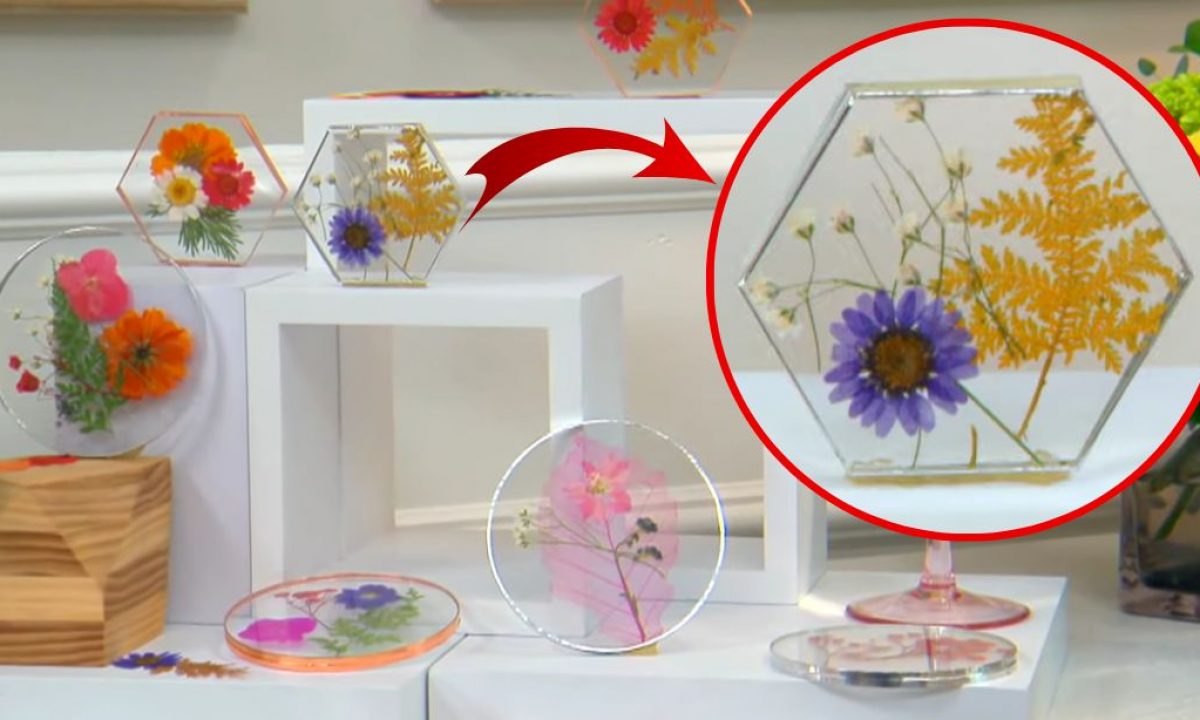 DIY Pressed Flower Coasters - Home & Family 