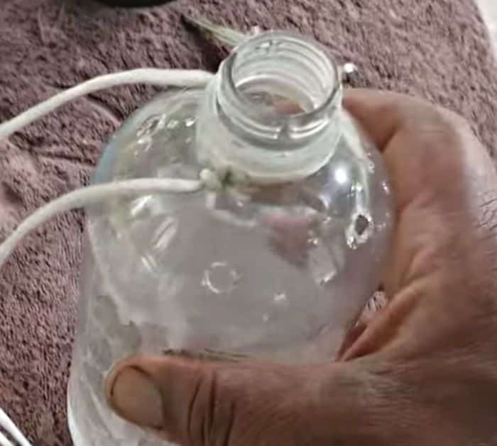How to Make a Homemade Fly Trap