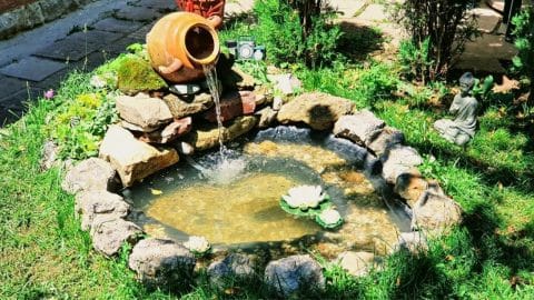Easy & Inexpensive Small DIY Garden Pond Tutorial | DIY Joy Projects and Crafts Ideas