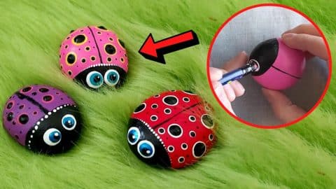 Easy Ladybug Rock Painting Using Pencils | DIY Joy Projects and Crafts Ideas