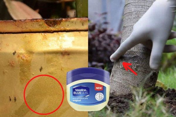 Genius Vaseline Gardening Hacks