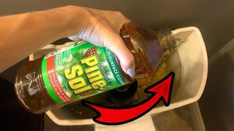 3-Minute Toilet Miracle For Only $1 | DIY Joy Projects and Crafts Ideas