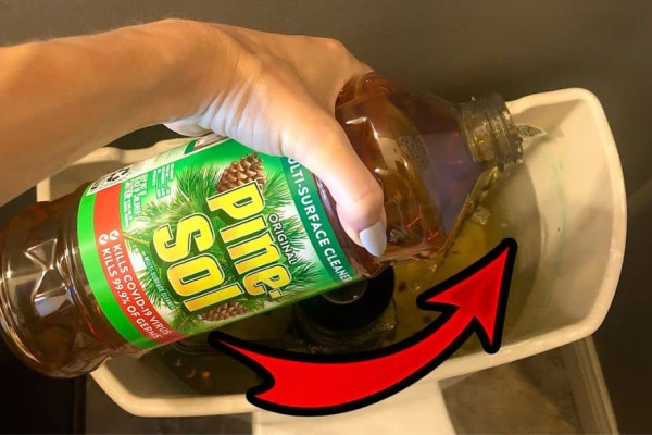How To Clean A Toilet Using Pine Sol