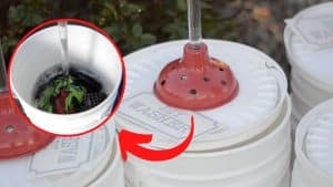 How To Make A DIY Washing Machine Using Buckets