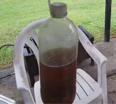 Easy & Super Effective Homemade Fly Trap - DIY Joy