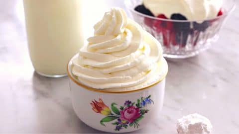 How To Make Whipped Cream Fast & Easy | DIY Joy Projects and Crafts Ideas