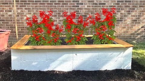 How to Build a Cheap Cinder Block Raised Garden Without Cement | DIY Joy Projects and Crafts Ideas