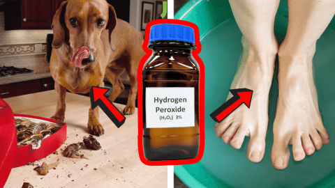 Surprising Uses of Hydrogen Peroxide | DIY Joy Projects and Crafts Ideas