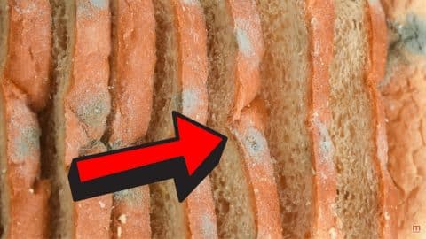 Why You Shouldn’t Just Cut The Mold Off Old Bread | DIY Joy Projects and Crafts Ideas