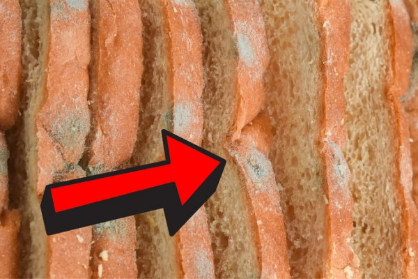 Why You Shouldn't Just Cut The Mold Off Old Bread
