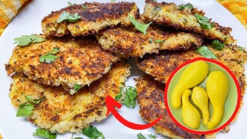Yellow Squash Fritters Recipe | DIY Joy Projects and Crafts Ideas