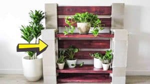 Easy DIY Cinder Block Plant Shelf