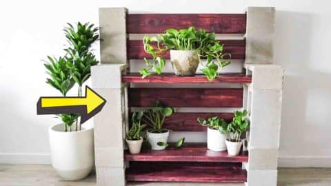 Easy DIY Cinder Block Plant Shelf | DIY Joy Projects and Crafts Ideas