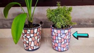 DIY Flower Pot Making With Broken Tiles