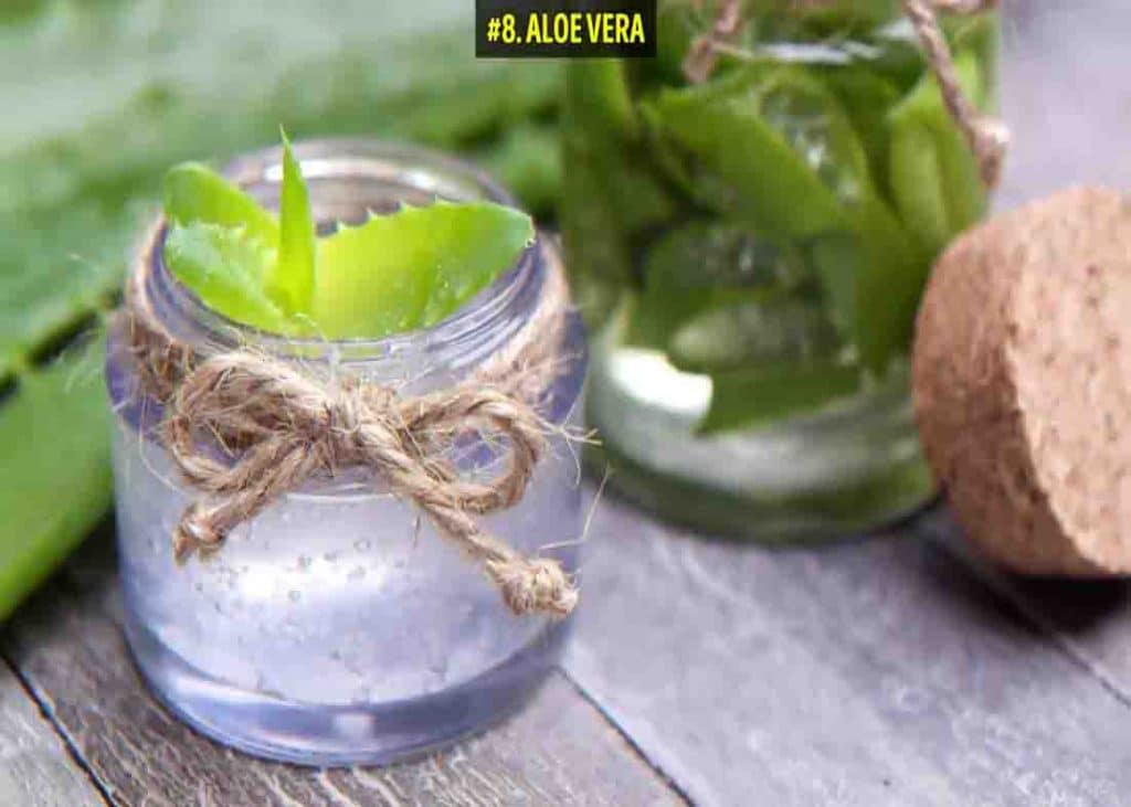 Aloe vera is a good product to get rid of acne scars naturally