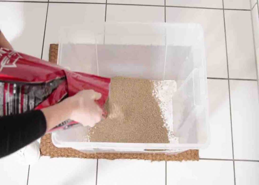 Layering the baking soda and litter to the litter box
