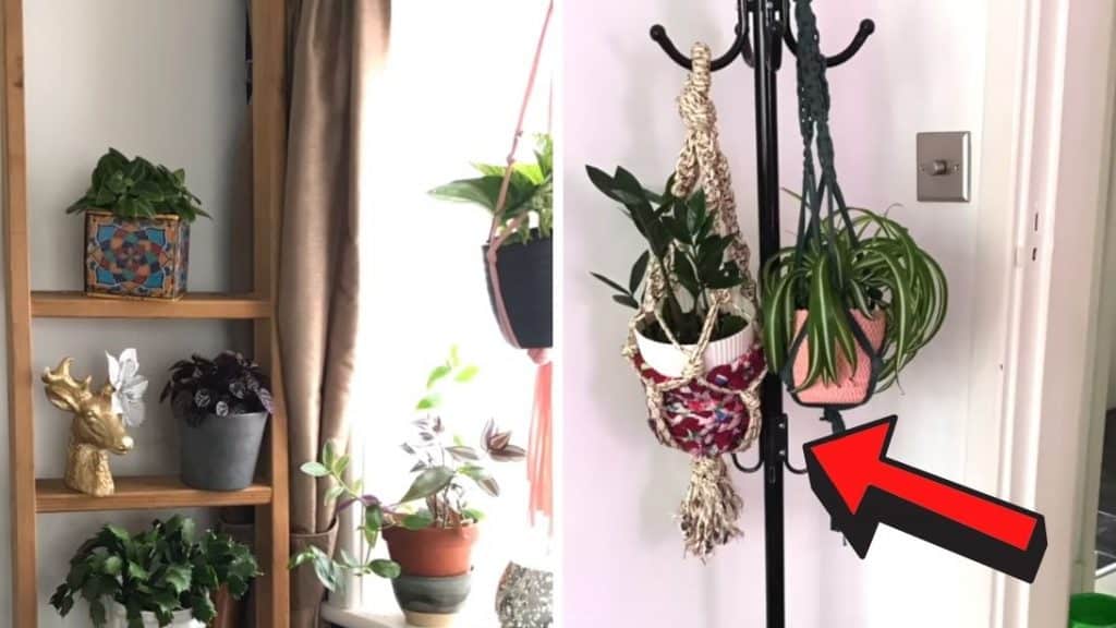 10 Hanging Plant DIY Hack for Renters