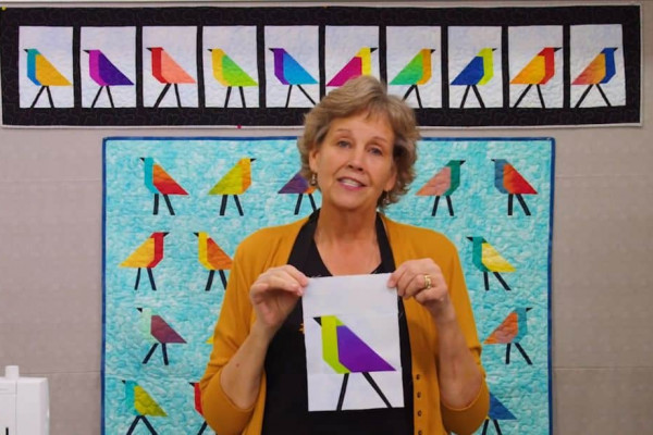 Block Lotto Bird Quilt