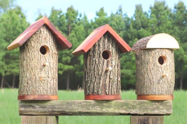 DIY Bird Houses Made Out Of Natural Log