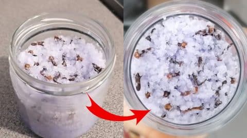 DIY Homemade Deodorizer To Keep Your House Smell Fresh | DIY Joy Projects and Crafts Ideas