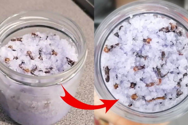 DIY Homemade Deodorizer To Keep Your House Smell Fresh