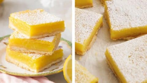 Easiest Lemon Squares | DIY Joy Projects and Crafts Ideas