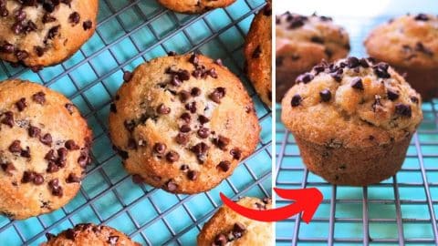 Easy Bakery Style Chocolate Chip Muffins Recipe | DIY Joy Projects and Crafts Ideas