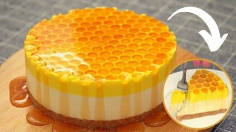 Easy-To-Make No-Bake Honey Cheesecake | DIY Joy Projects and Crafts Ideas