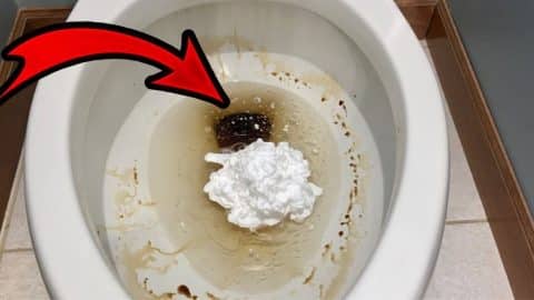 Genius Shaving Cream Toilet Hack That Actually Works | DIY Joy Projects and Crafts Ideas
