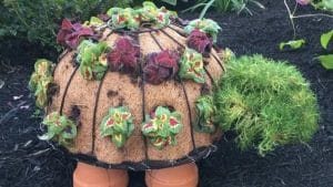 How To Make Timmy The Topiary Turtle