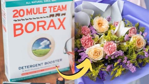 How To Preserve Flowers Using Borax & Cornmeal | DIY Joy Projects and Crafts Ideas