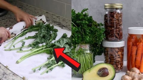 How to Make Produce Last Longer and Reduce Waste | DIY Joy Projects and Crafts Ideas