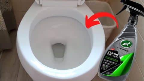 Once A Year Toilet Bowl Cleaning Hack | DIY Joy Projects and Crafts Ideas